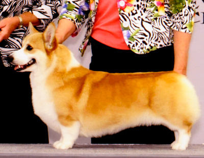 Winnie