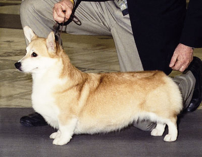 Gweno