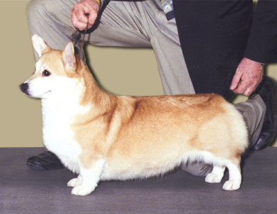 Gweno