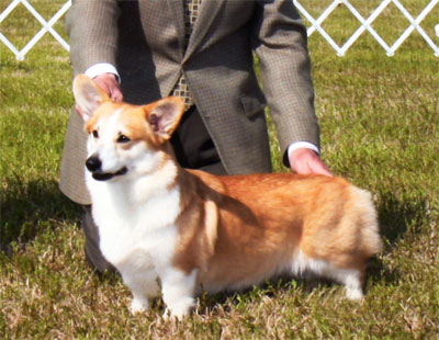 Katie