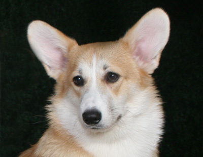 Rhona