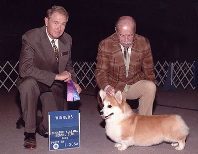 Clay :: Winners Dog