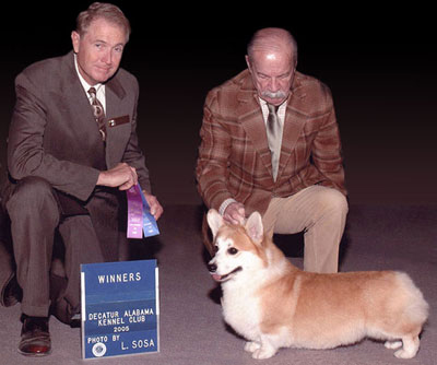 Clay :: Winners Dog