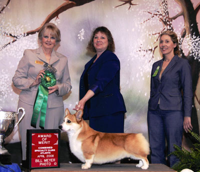 AOM Atlanta Corgi Club Specialty