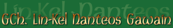 Gawain :: LEO