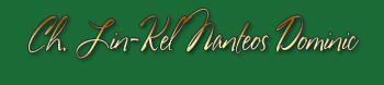 Lin-Kel's Nanteos Dominic :: Dominic