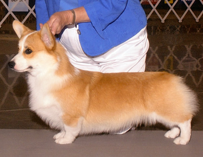 Leo