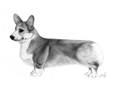 Grant Drawing